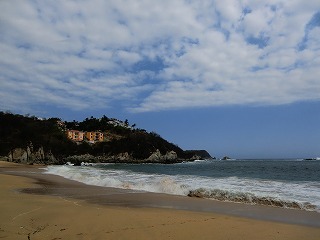 CIMG0922.jpg