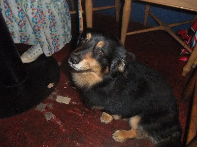 DSCF1148.jpg